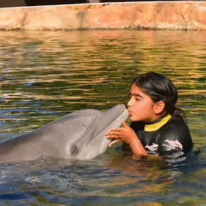 Meet your Posher, Sruthi